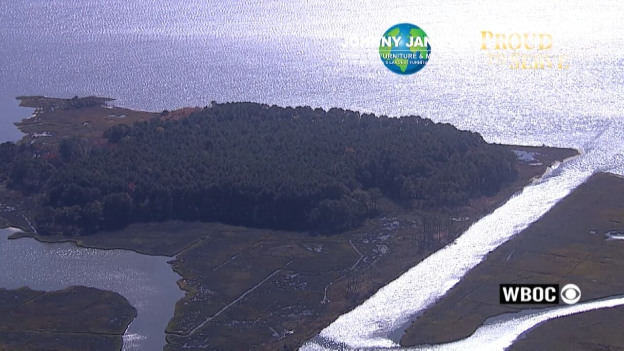 Proud to Serve: Thompson Island Preserve